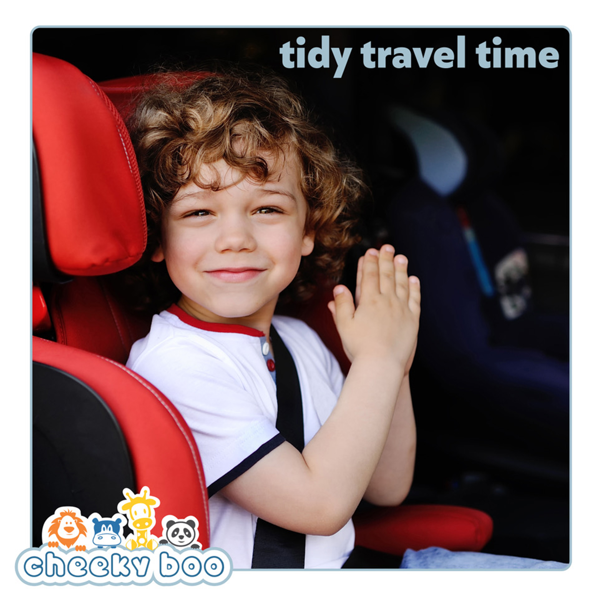 CheekyBin car bin for families, keeping car clean with kids